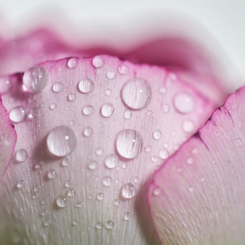 Nurturing Massage Treatment (Rose De Mai) - Relaxing