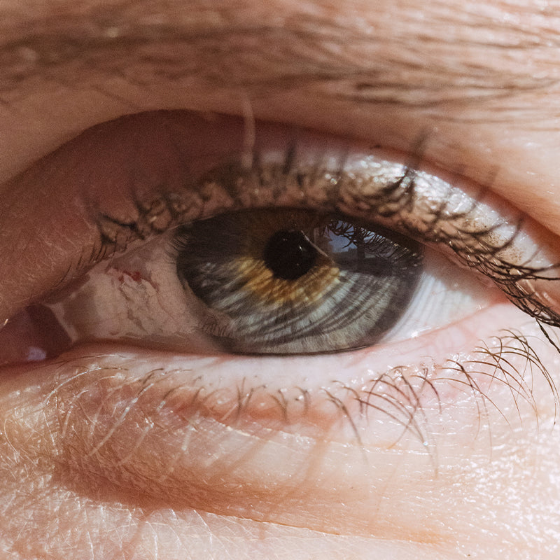Can your eye makeup remover help your lashes grow? The science of pea peptides
