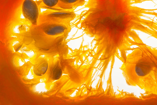 What are enzyme cleansers and how do they work?