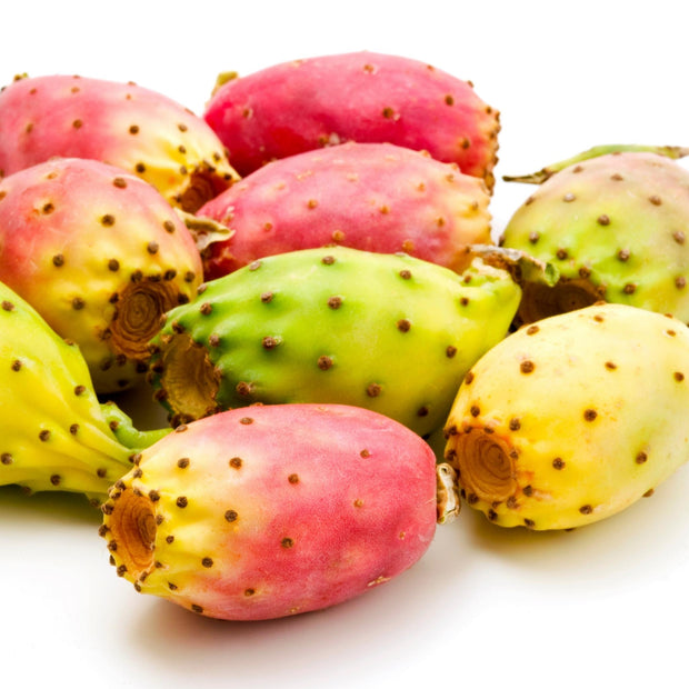 Opuntia Ficus-Indica Extract 