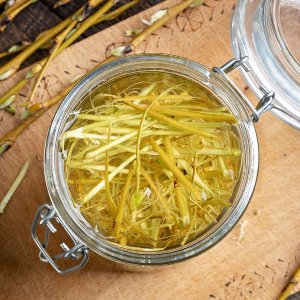 Willow Bark Extract