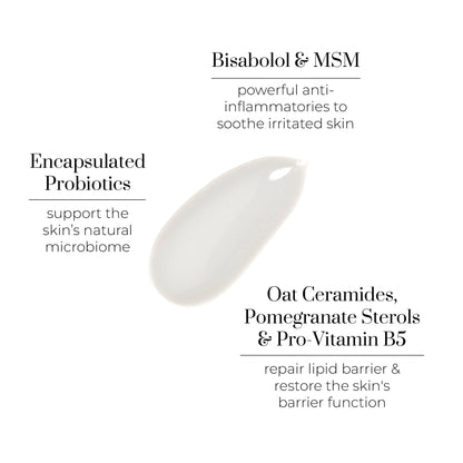 Rest Day Cleansing Milk Annotated Swatch