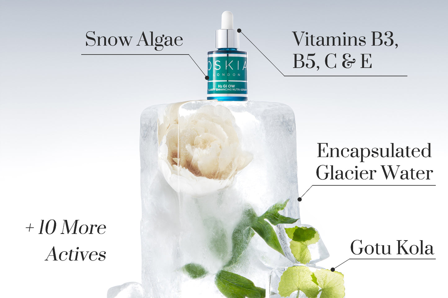 Image of H2 Glow on an ice sculpture with a peony