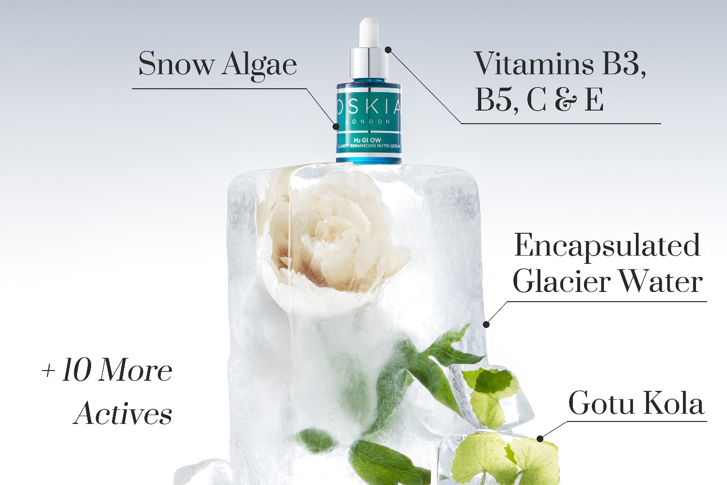 Image of H2 Glow on an ice sculpture with a peony